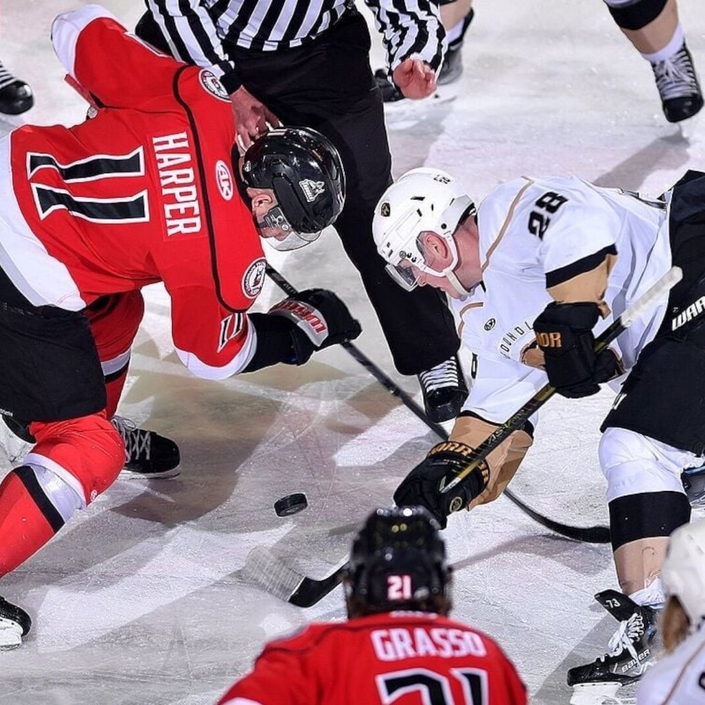 Night Out With Adirondack Thunder